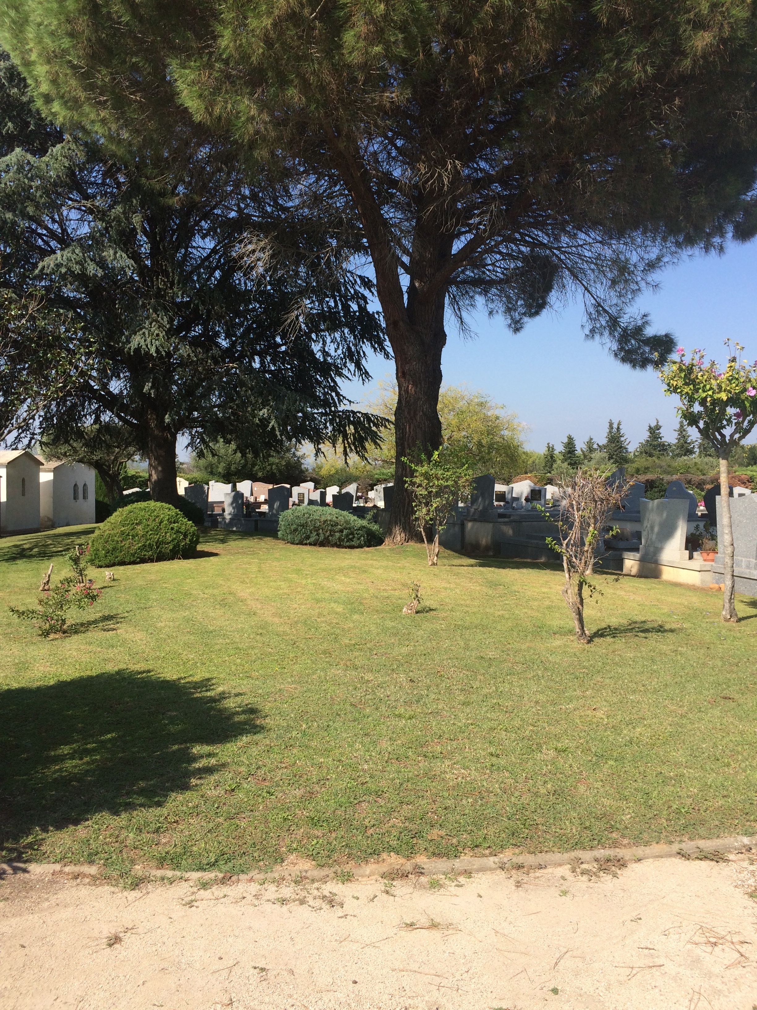 Liste de photographies du cimetière Fiche de présentation de Cimetière du Mirman - Informations et services en ligne - Portail funéraire Citoyen de la commune de CAISSARGUES de la commune de CAISSARGUES