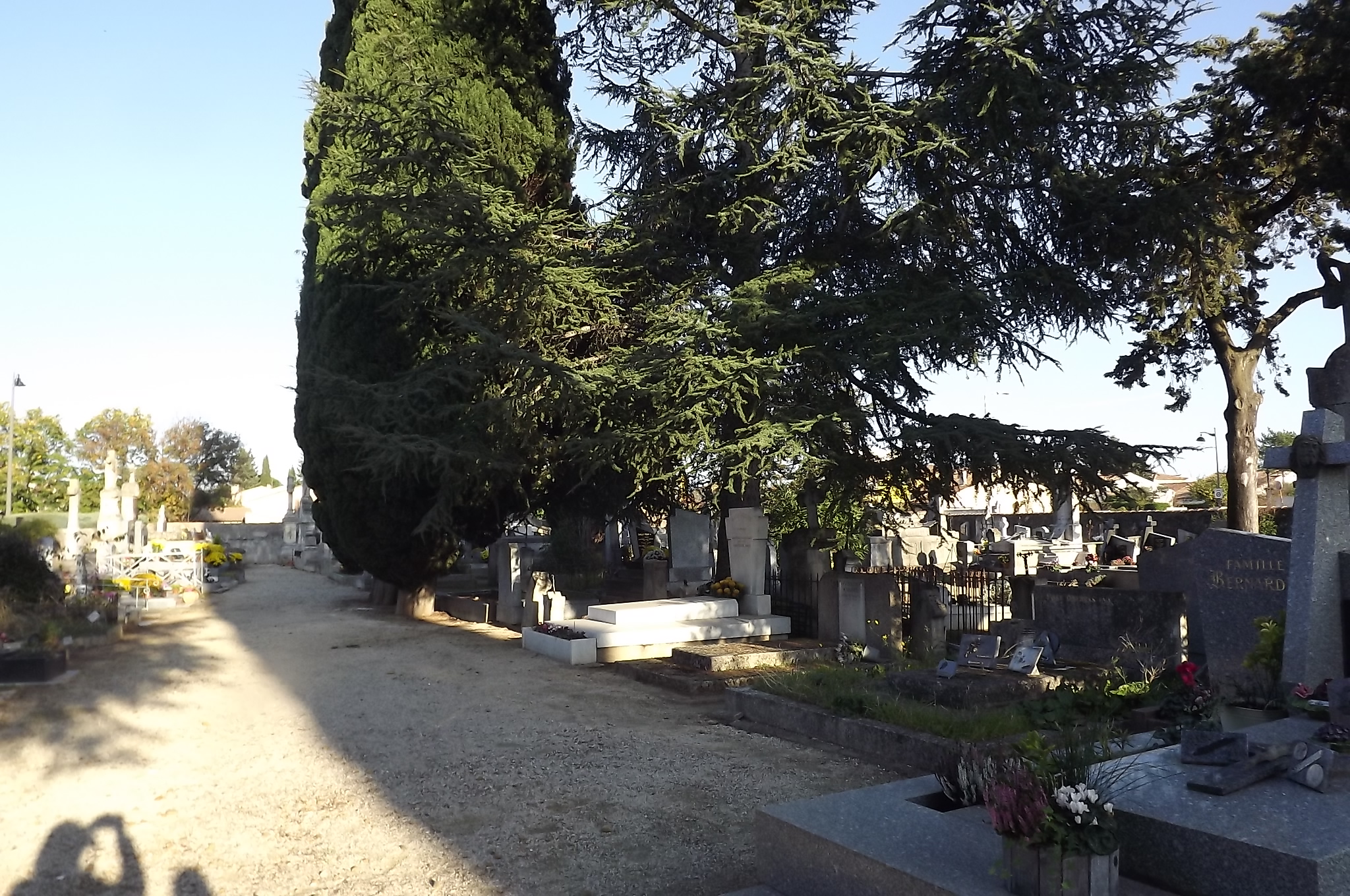 Liste de photographies du cimetière Fiche de présentation de Ancien Cimetière 1 - Informations et services en ligne - Portail funéraire Citoyen Commune de Caissargues Commune de Caissargues