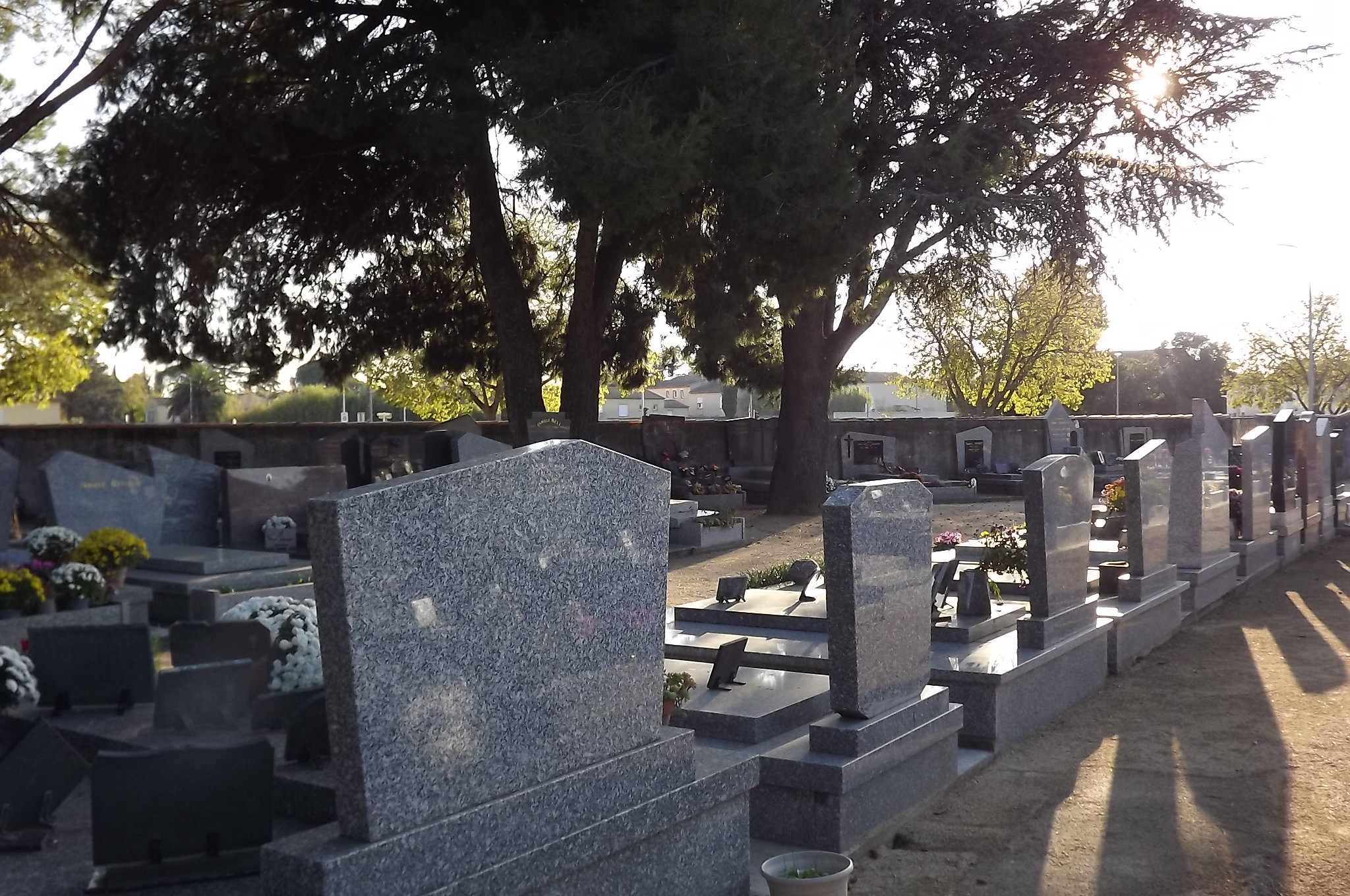 Liste de photographies du cimetière Fiche de présentation de Ancien Cimetière 2 - Informations et services en ligne - Portail funéraire Citoyen de la commune de CAISSARGUES de la commune de CAISSARGUES
