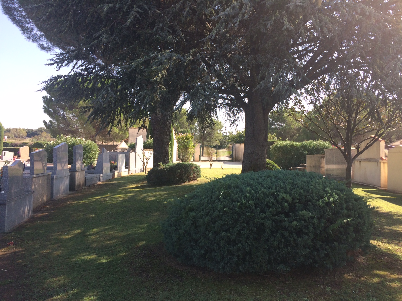 Liste de photographies du cimetière Fiche de présentation de Cimetière du Mirman - Informations et services en ligne - Portail funéraire Citoyen de la commune de CAISSARGUES de la commune de CAISSARGUES