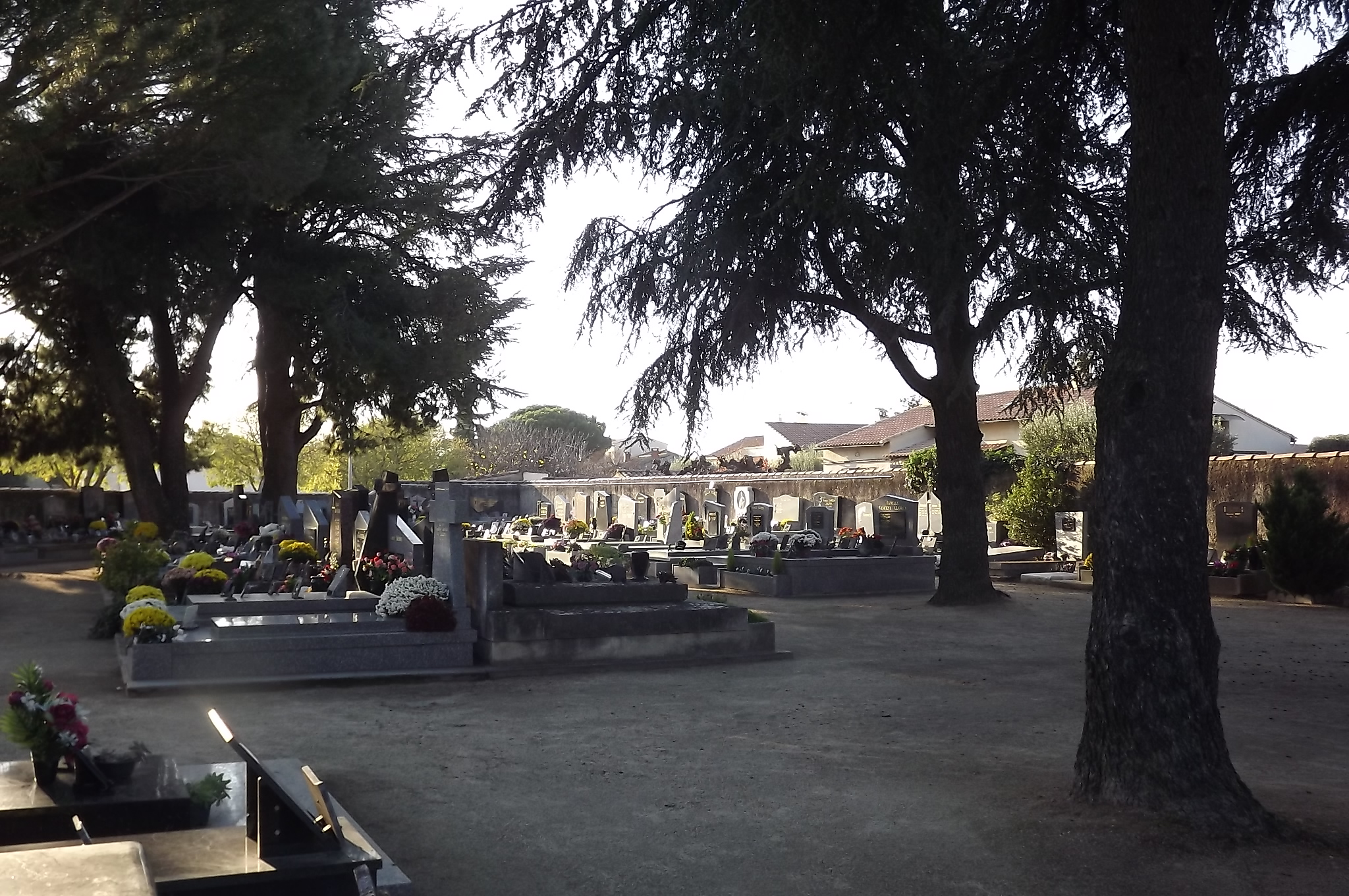 Liste de photographies du cimetière Fiche de présentation de Ancien Cimetière 2 - Informations et services en ligne - Portail funéraire Citoyen de la commune de CAISSARGUES de la commune de CAISSARGUES