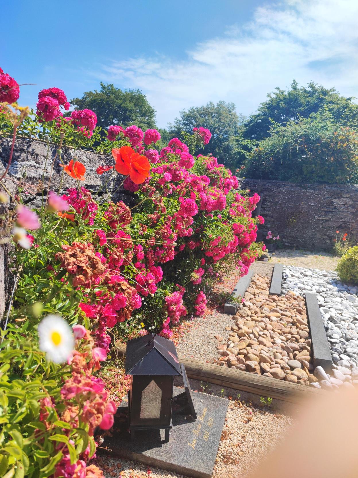 Liste de photographies du cimetière Fiche de présentation de Cimetière Communal - Informations et services en ligne - Portail funéraire Citoyen Commune de La Grigonnais Commune de La Grigonnais