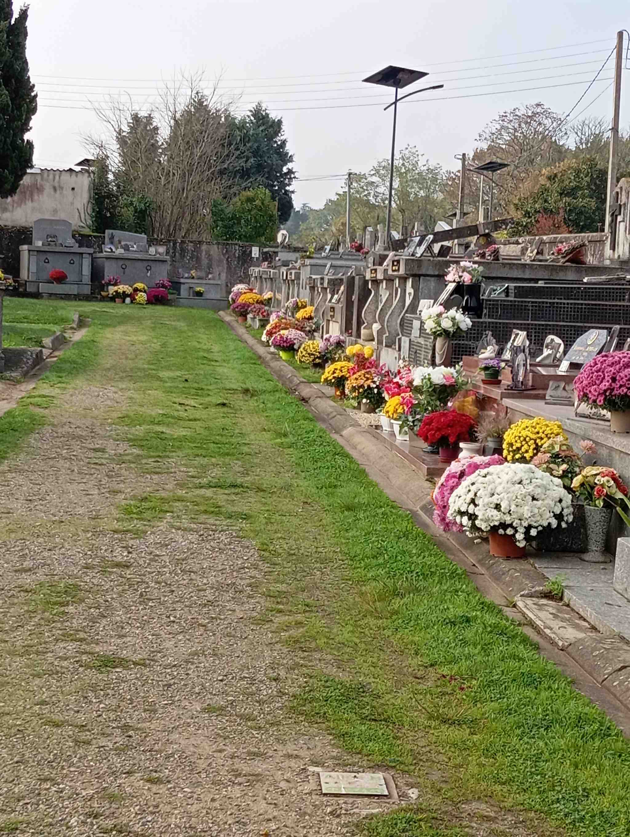 Liste de photographies du cimetière Fiche de présentation de Cimetière de Ganet - Informations et services en ligne - Portail funéraire Citoyen de la ville de LE PASSAGE D'AGEN de la ville de LE PASSAGE D'AGEN