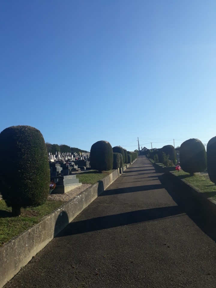 Liste de photographies du cimetière Fiche de présentation de Cimetière Worms - Informations et services en ligne - Portail funéraire Citoyen Ville de Le Trait Ville de Le Trait