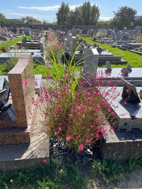 Liste de photographies du cimetière Fiche de présentation de Nouveau Cimetière - Informations et services en ligne - Portail funéraire Citoyen Commune de Lorris Commune de Lorris