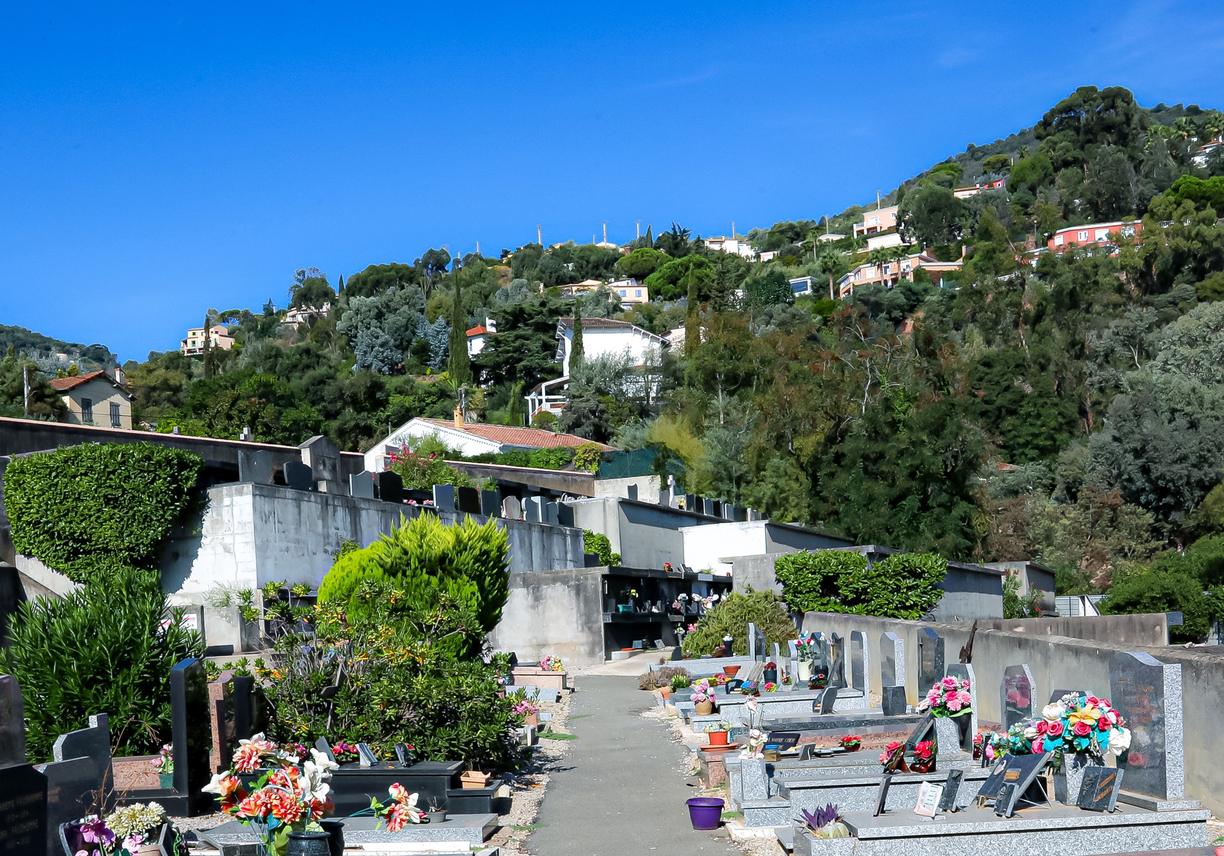 Liste de photographies du cimetière Fiche de présentation de Cimetière Capitou - Informations et services en ligne - Portail funéraire Citoyens de la ville de MANDELIEU LA NAPOULE de la ville de MANDELIEU LA NAPOULE