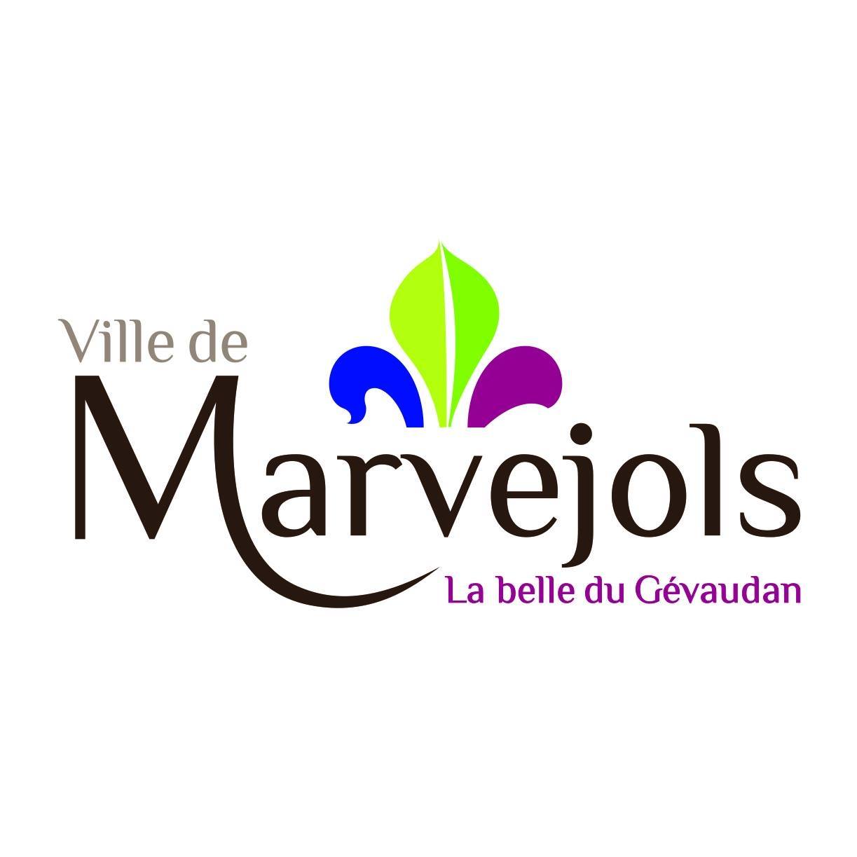 Logo de la commune de MARVEJOLS, Cimetière de la commune de MARVEJOLS
