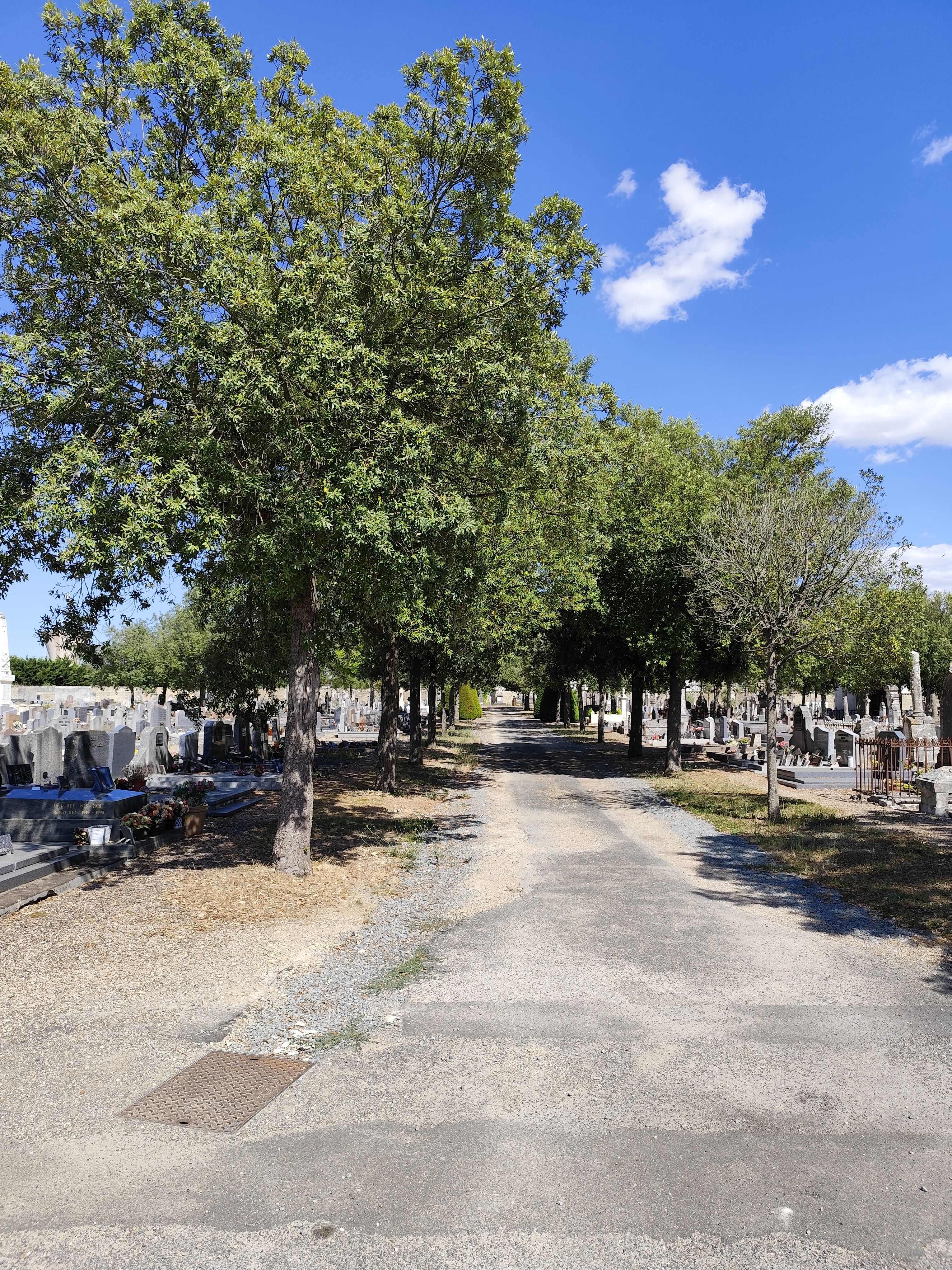 listes de photographies des cimetière Commune de Mauzé-sur-le-Mignon, Histoire des cimetières Commune de Mauzé-sur-le-Mignon , Historique sépultures Commune de Mauzé-sur-le-Mignon 