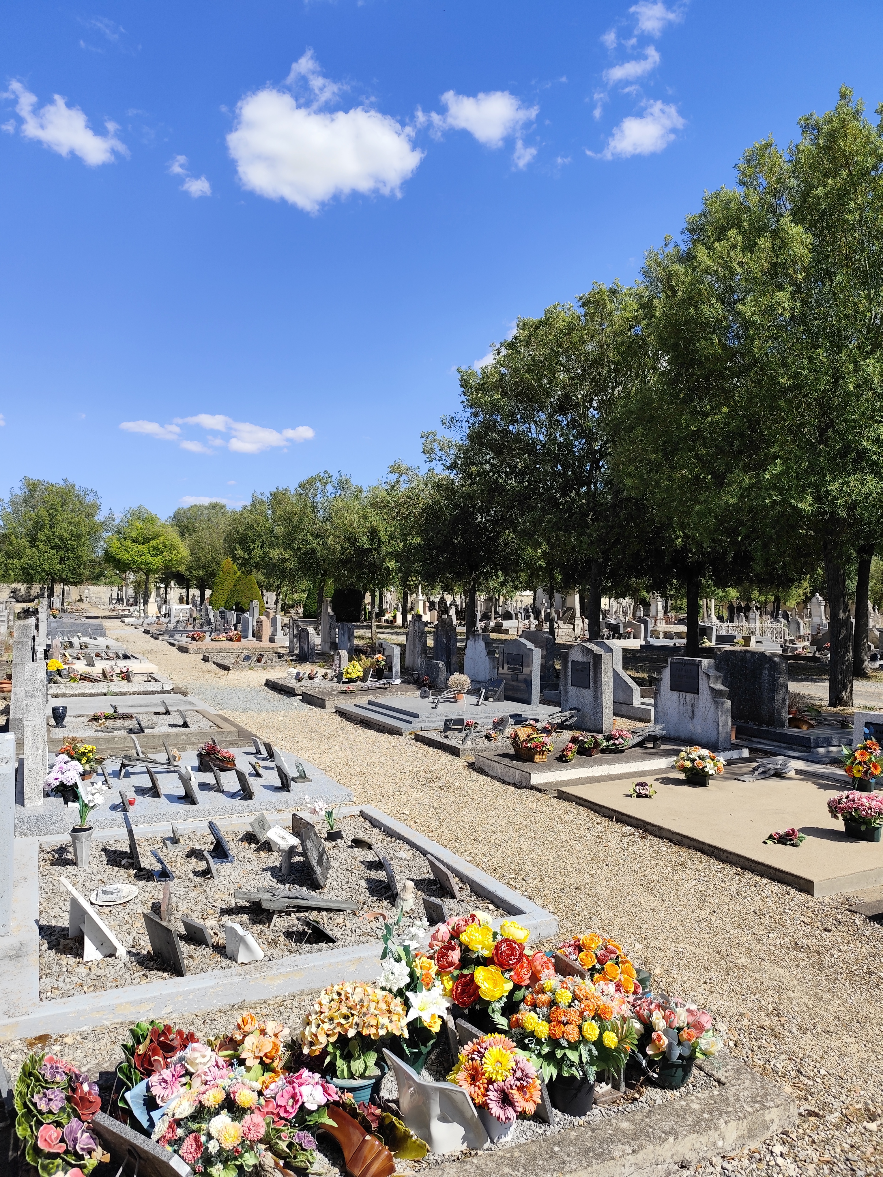 Histoire des cimetières Commune de Mauzé-sur-le-Mignon, Historique sépultures Commune de Mauzé-sur-le-Mignon