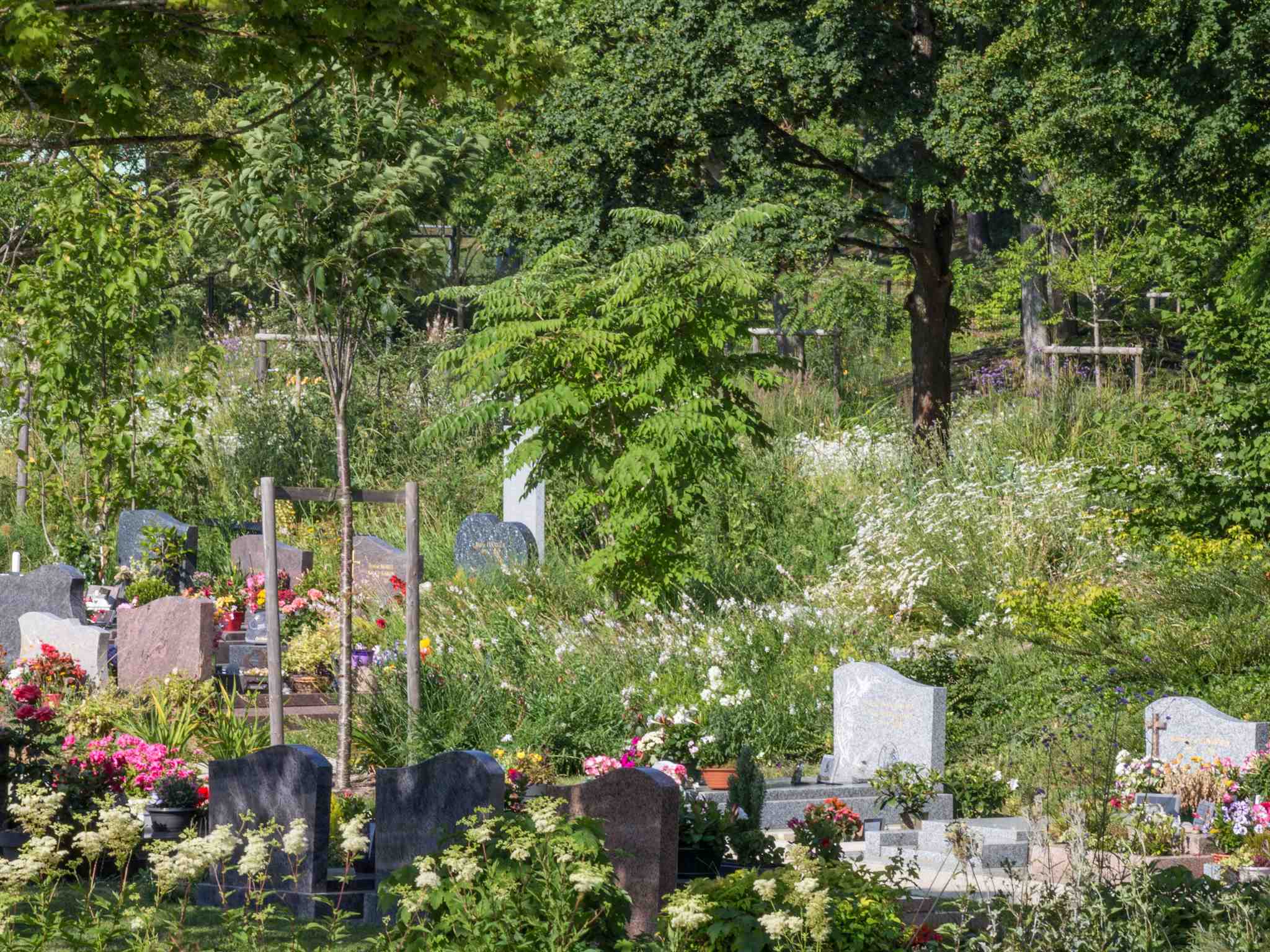 Liste de photographies du cimetière Fiche de présentation de Cimetière des IV Pavés du Roy - Informations et services en ligne - Portail funéraire Citoyen de la ville de MONTIGNY-LE-BRETONNEUX de la ville de MONTIGNY-LE-BRETONNEUX