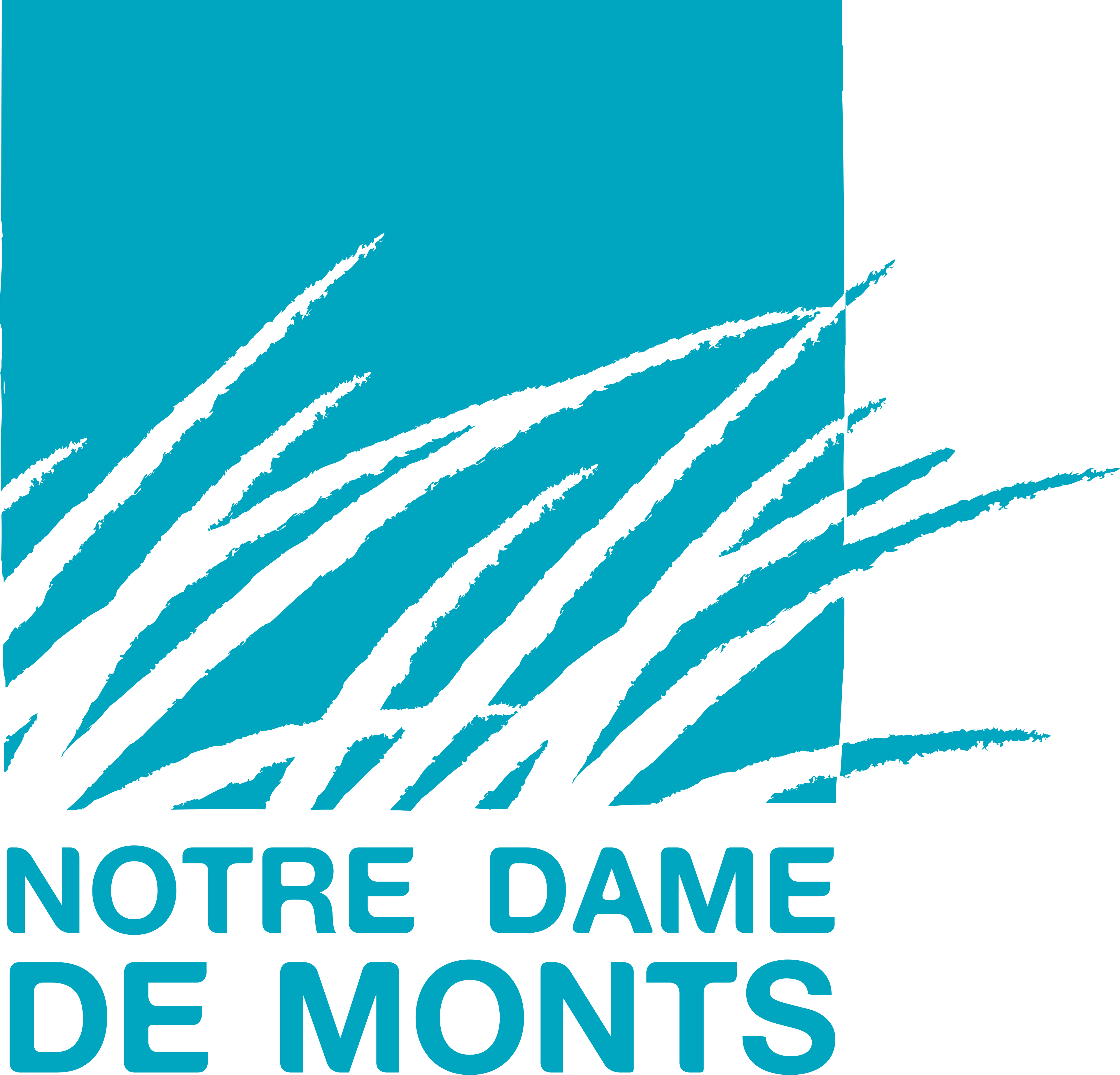 Logo Commune de Notre Dame de Monts, Cimetière