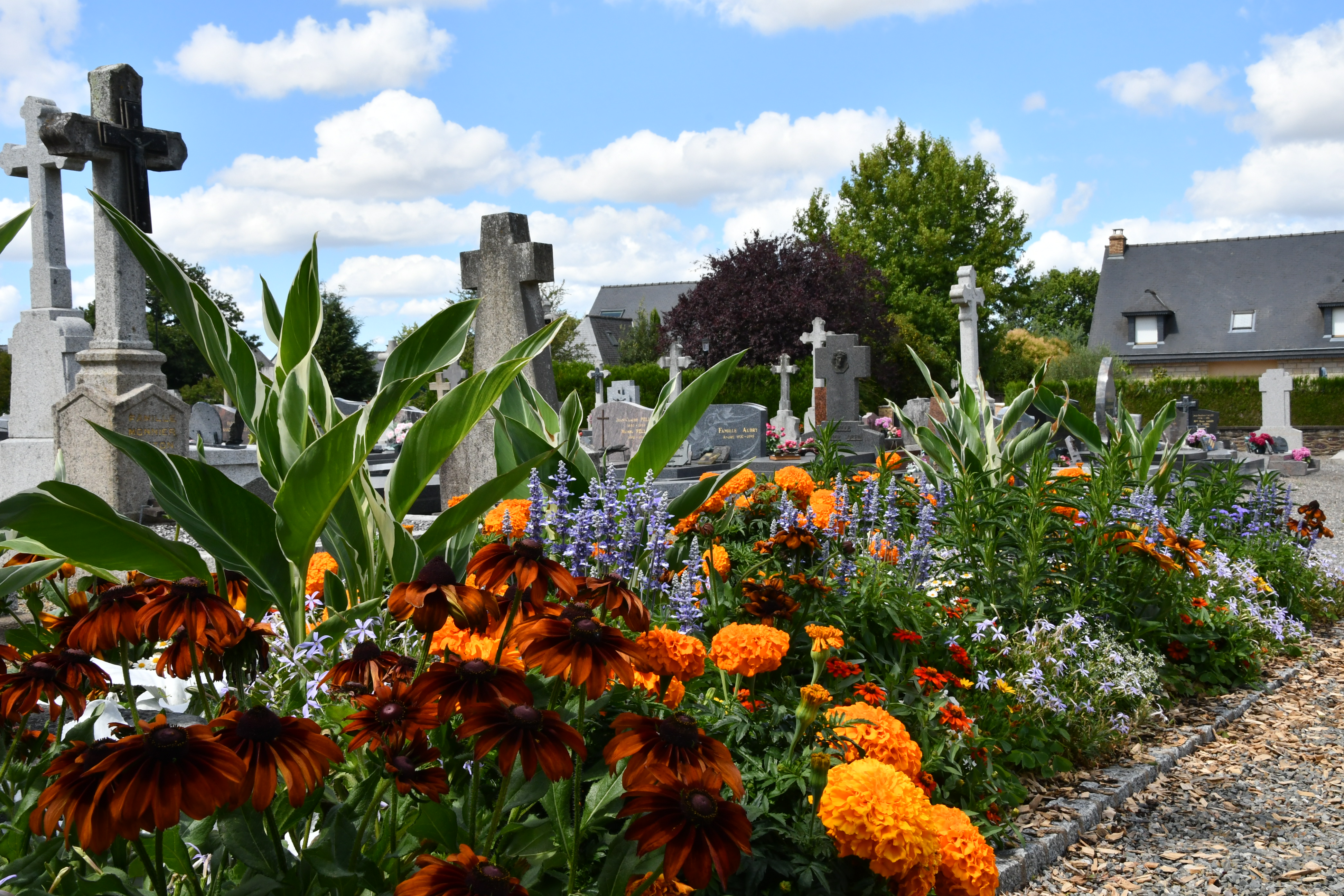listes de photographies des cimetière de la ville de PACE, Histoire des cimetières de la ville de PACE , Historique sépultures de la ville de PACE 