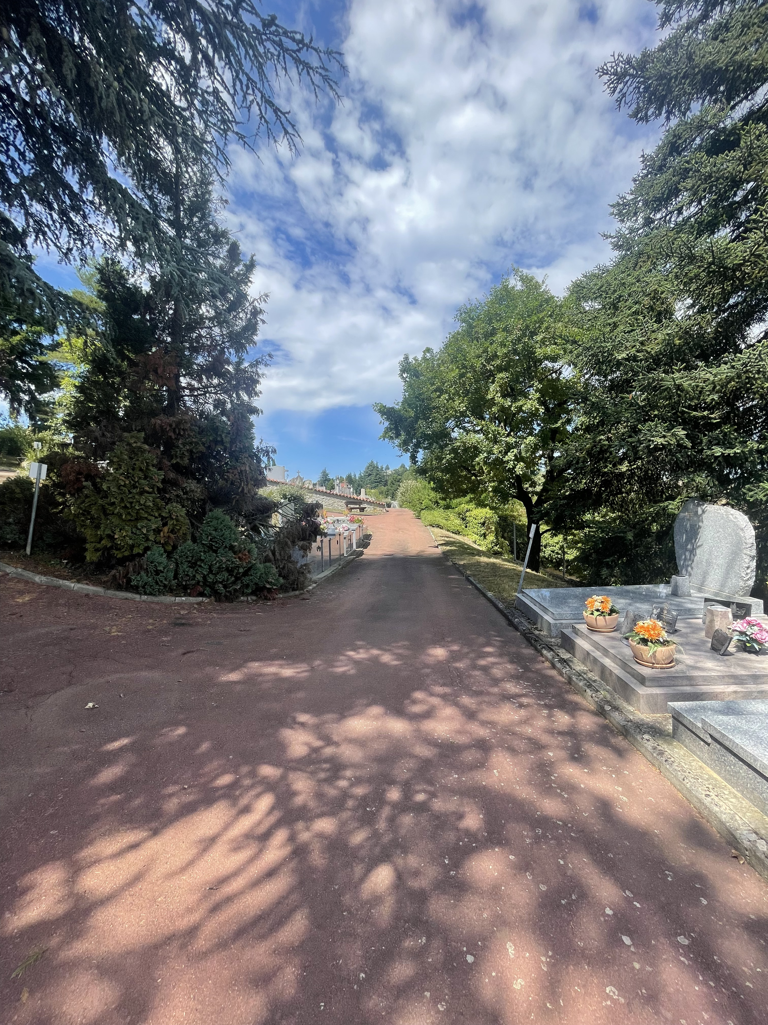 listes de photographies des cimetière de la ville de SAINT GALMIER, Histoire des cimetières de la ville de SAINT GALMIER , Historique sépultures de la ville de SAINT GALMIER 