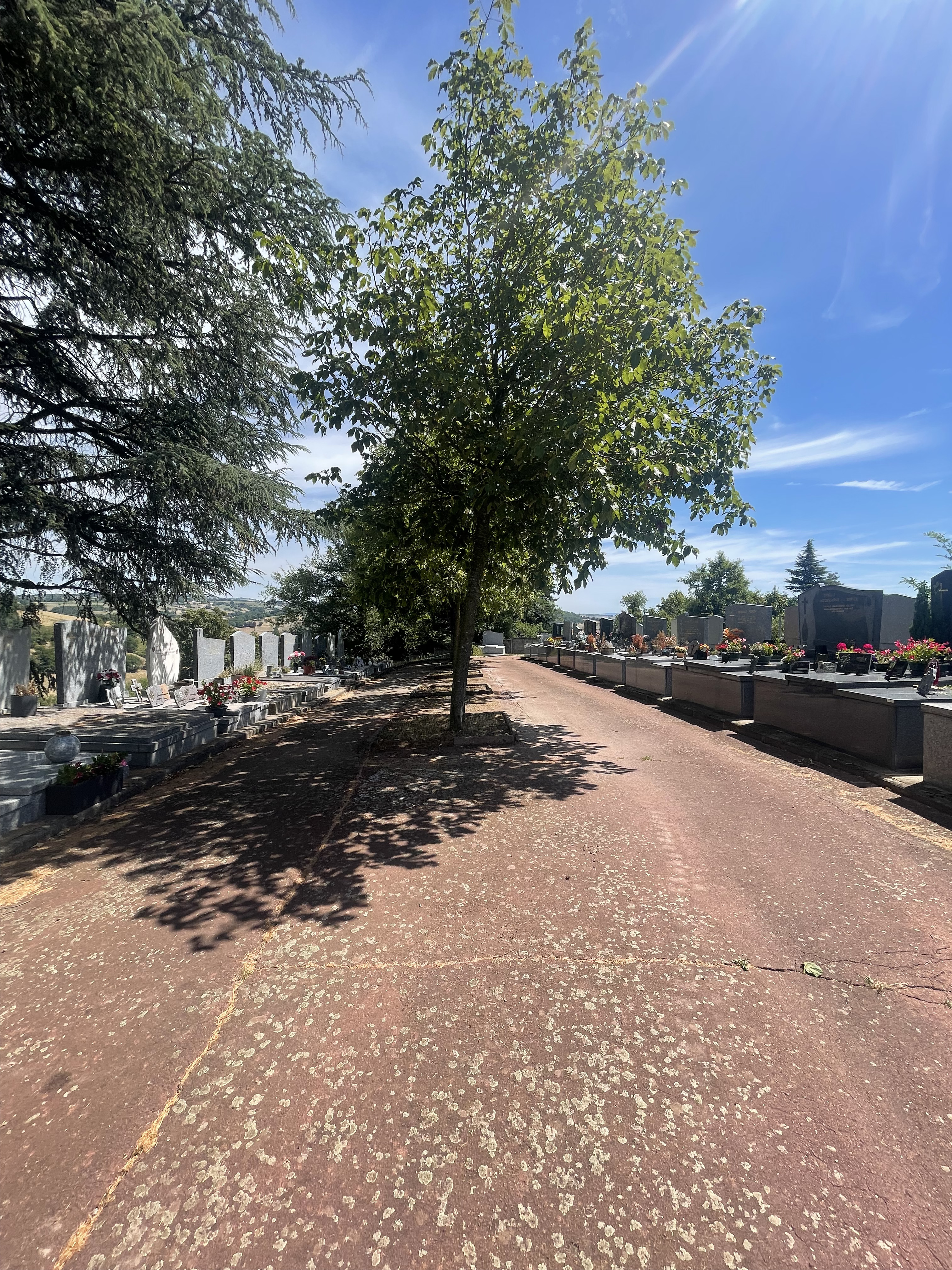 listes de photographies des cimetière Ville de Saint-Galmier, Histoire des cimetières Ville de Saint-Galmier , Historique sépultures Ville de Saint-Galmier 