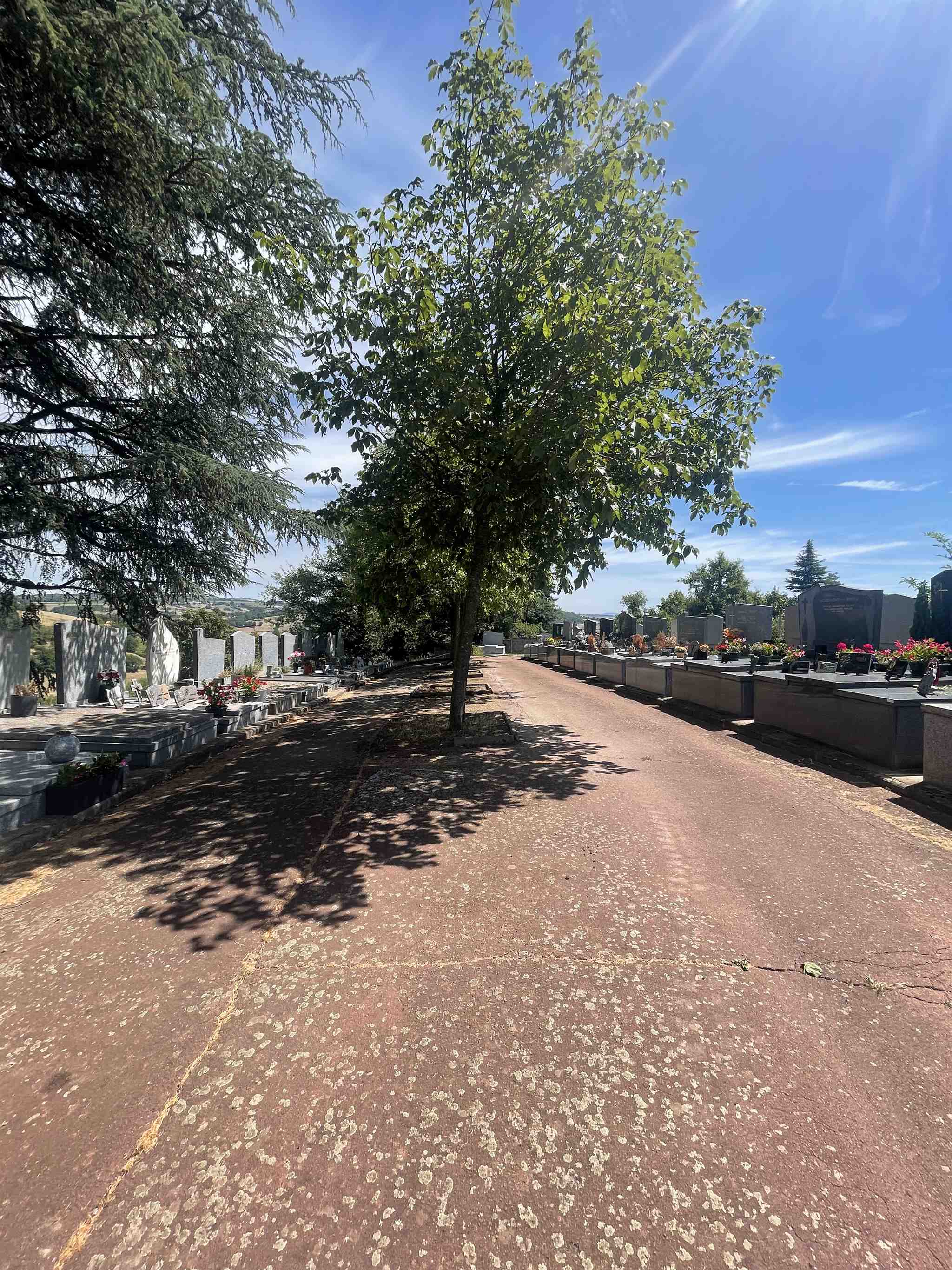 Liste de photographies du cimetière Fiche de présentation de Cimetière Communal - Informations et services en ligne - Portail funéraire Citoyen de la ville de SAINT GALMIER de la ville de SAINT GALMIER