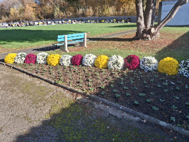 Liste de photographies du cimetière Fiche de présentation de Nouveau Cimetière - Informations et services en ligne - Portail funéraire Citoyen de la commune de TUCQUEGNIEUX de la commune de TUCQUEGNIEUX